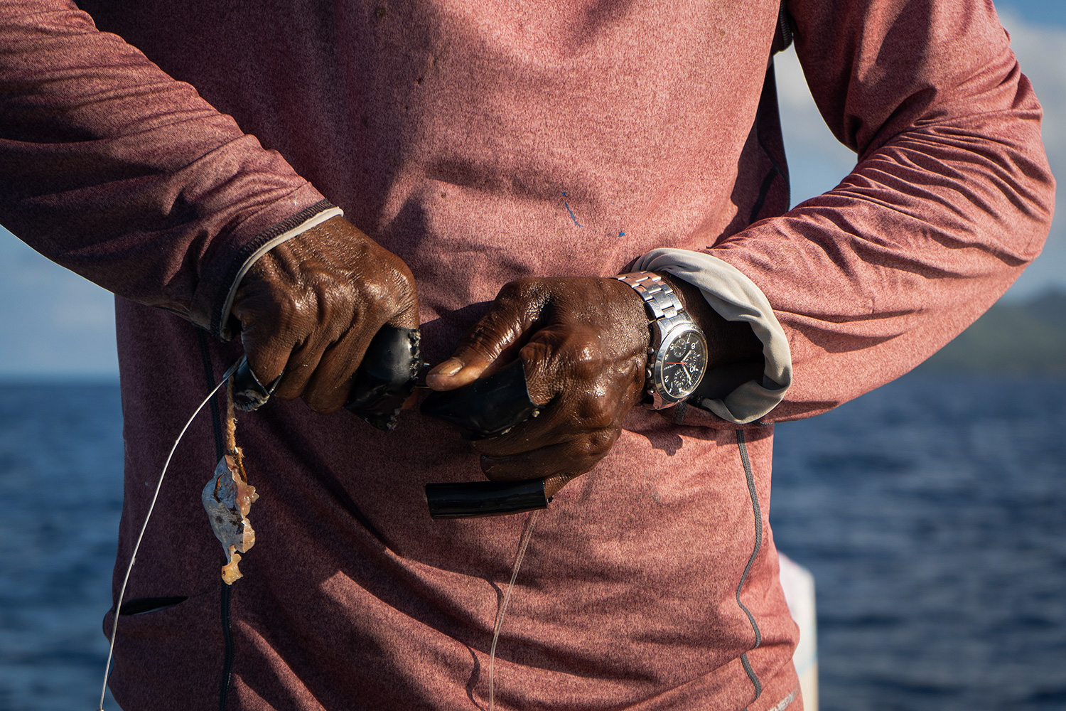 Portafolio fotografía