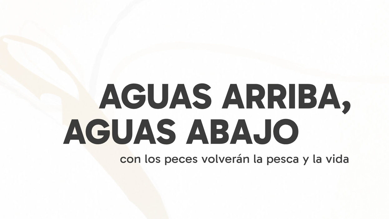 Aguas arriba, aguas abajo